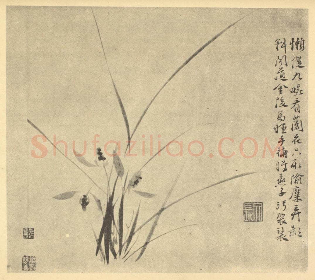 明 徐渭《兰》国画作品