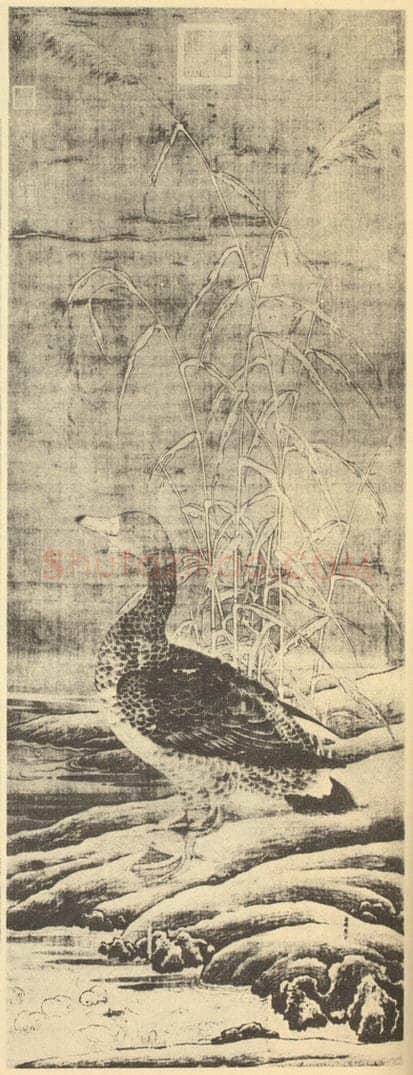 宋·辽 崔白《芦雁》国画作品
