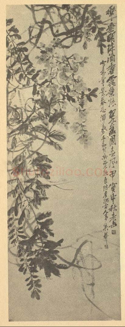 清 吴昌硕《珠藤》国画作品
