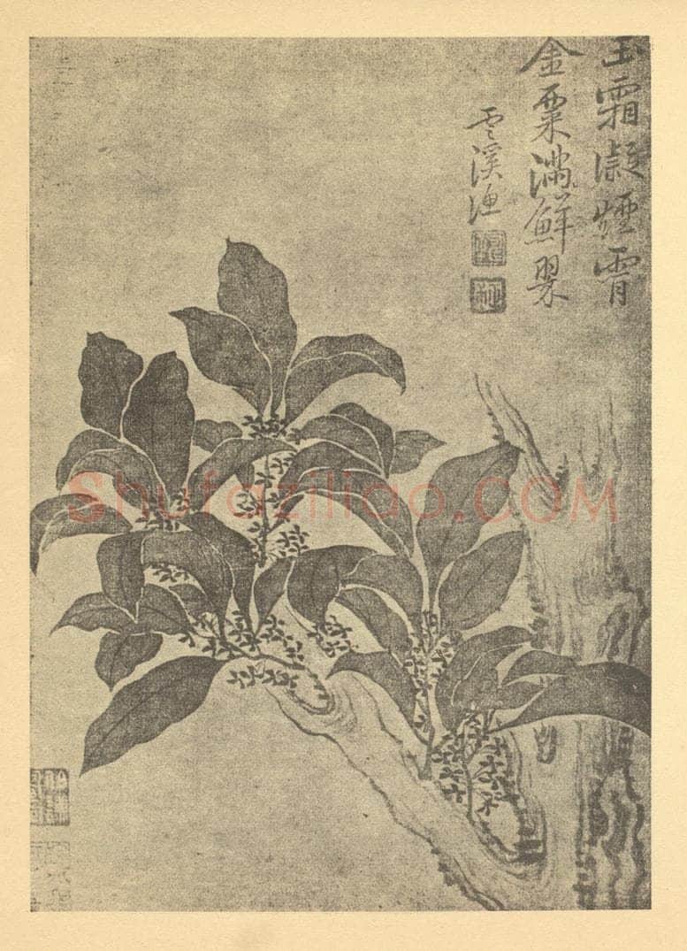 清 恽寿平《秋海棠》国画作品