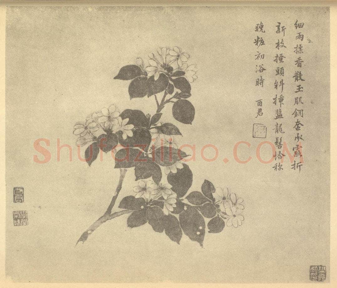 清 蒋廷锡《茉莉》国画作品