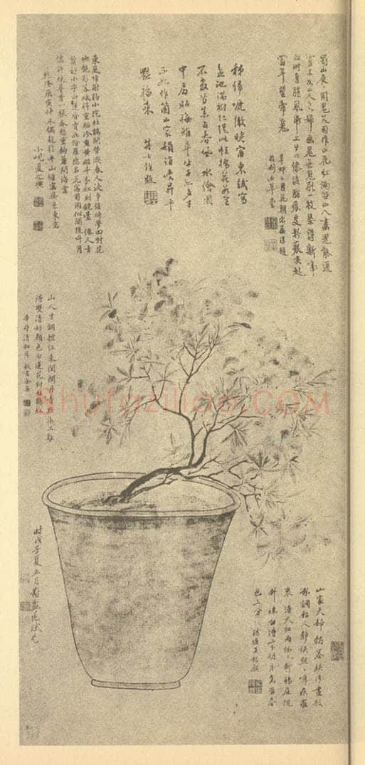 清 方畹仪《盆花》国画作品