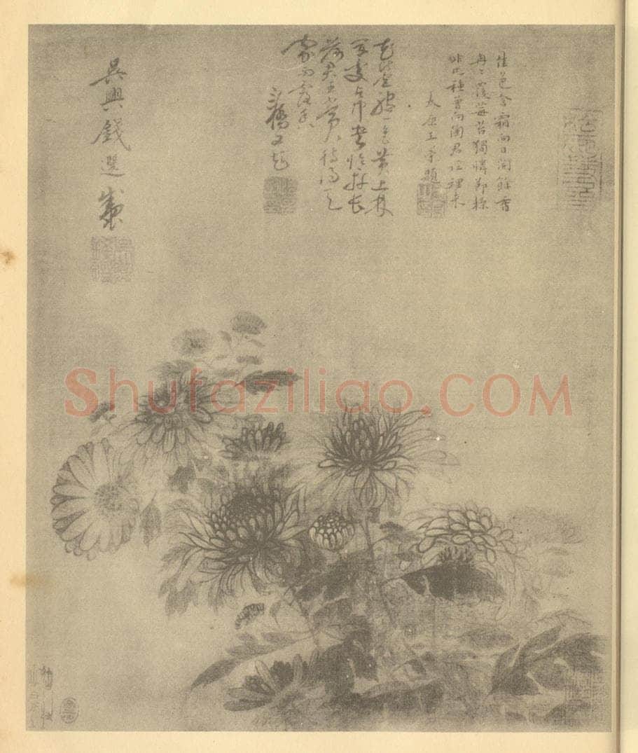 元 钱选《菊》国画作品
