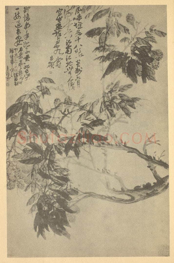 清 吴昌硕《荔枝》国画作品