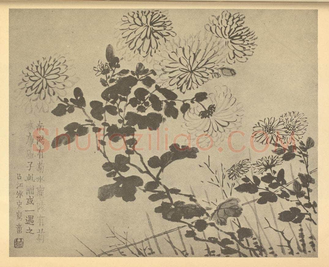 清 金农《篱菊》国画作品