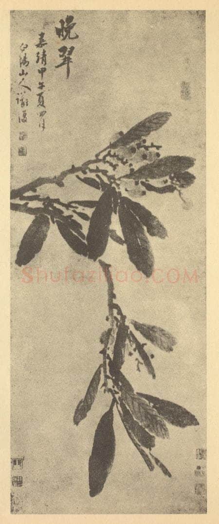 明 陈淳《晚翠图》国画作品