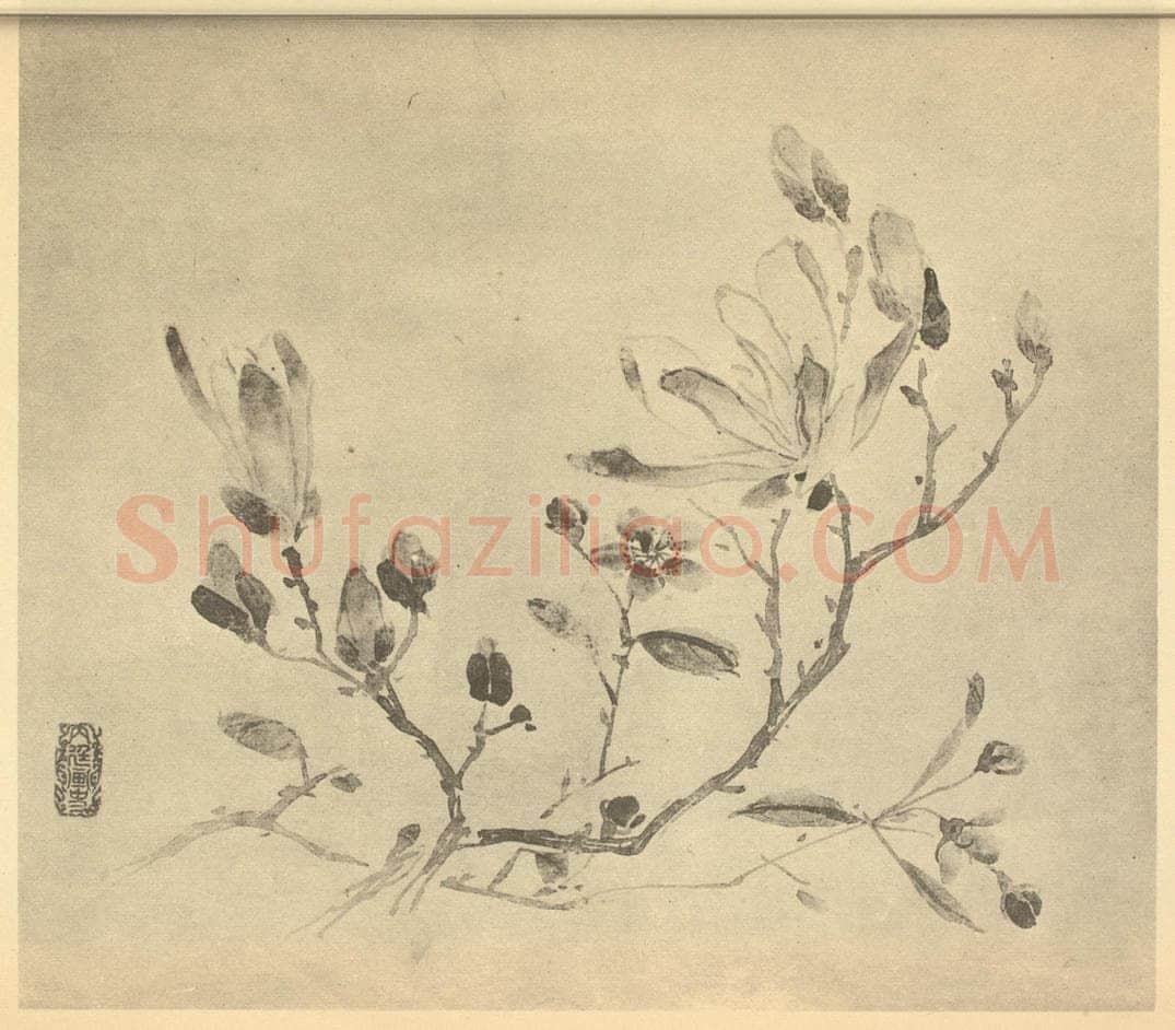 清 尤英《辛夷花》国画作品