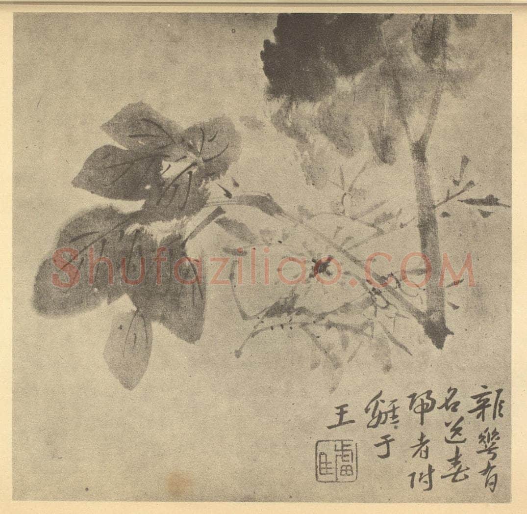 清 朱耷《杂花》国画作品