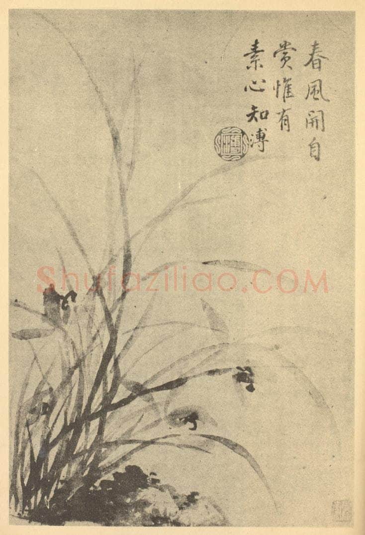 清 蒋溥《兰石》国画作品