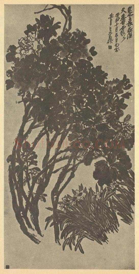 清 吴昌硕《牡丹·水仙》国画作品