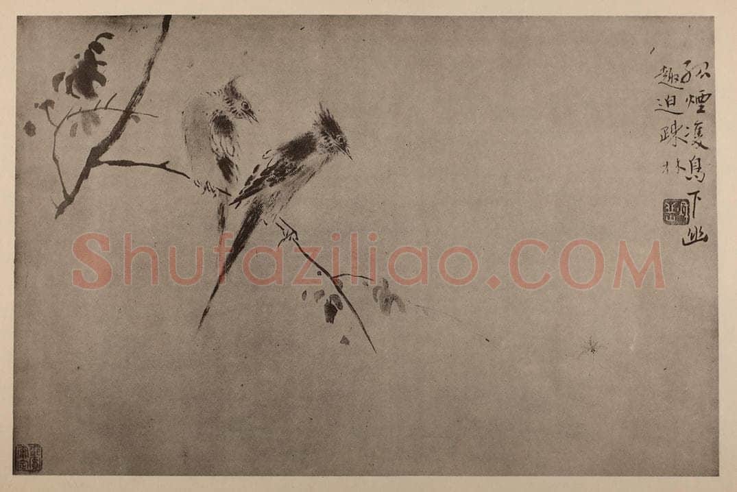 清 华岩《双鸟图页》国画作品