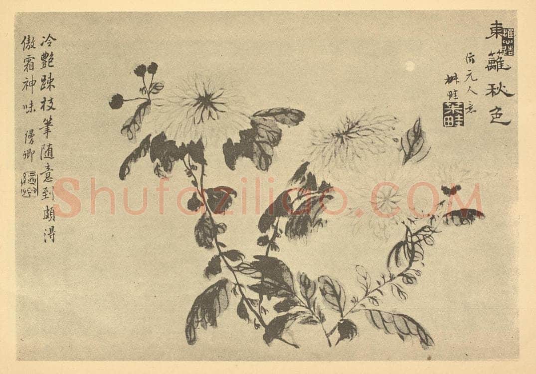 清 王学浩《菊》国画作品