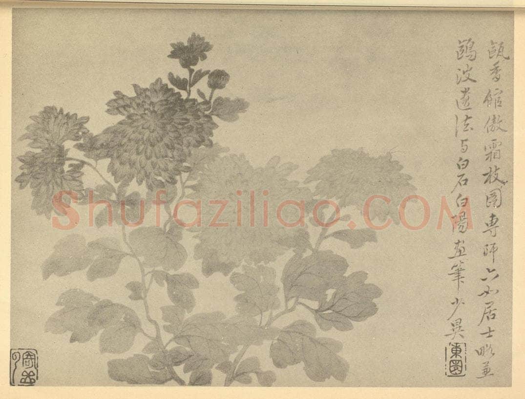 清 恽寿平《菊》国画作品