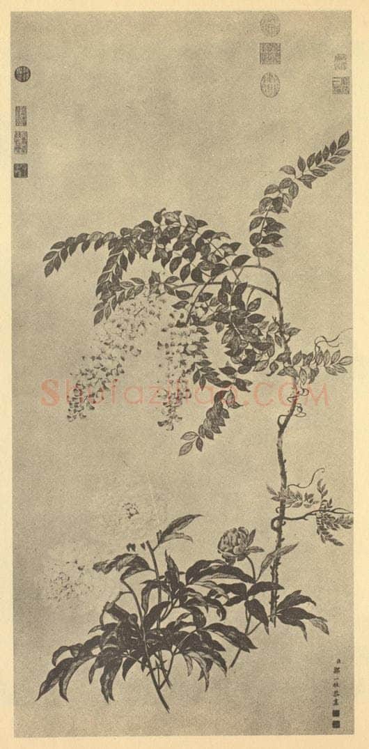 清 邹一桂《芍药藤花》国画作品
