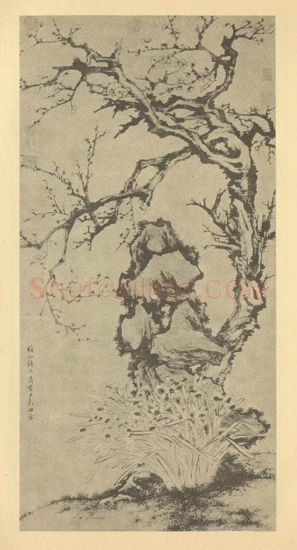 明 王谷祥《水仙》国画作品