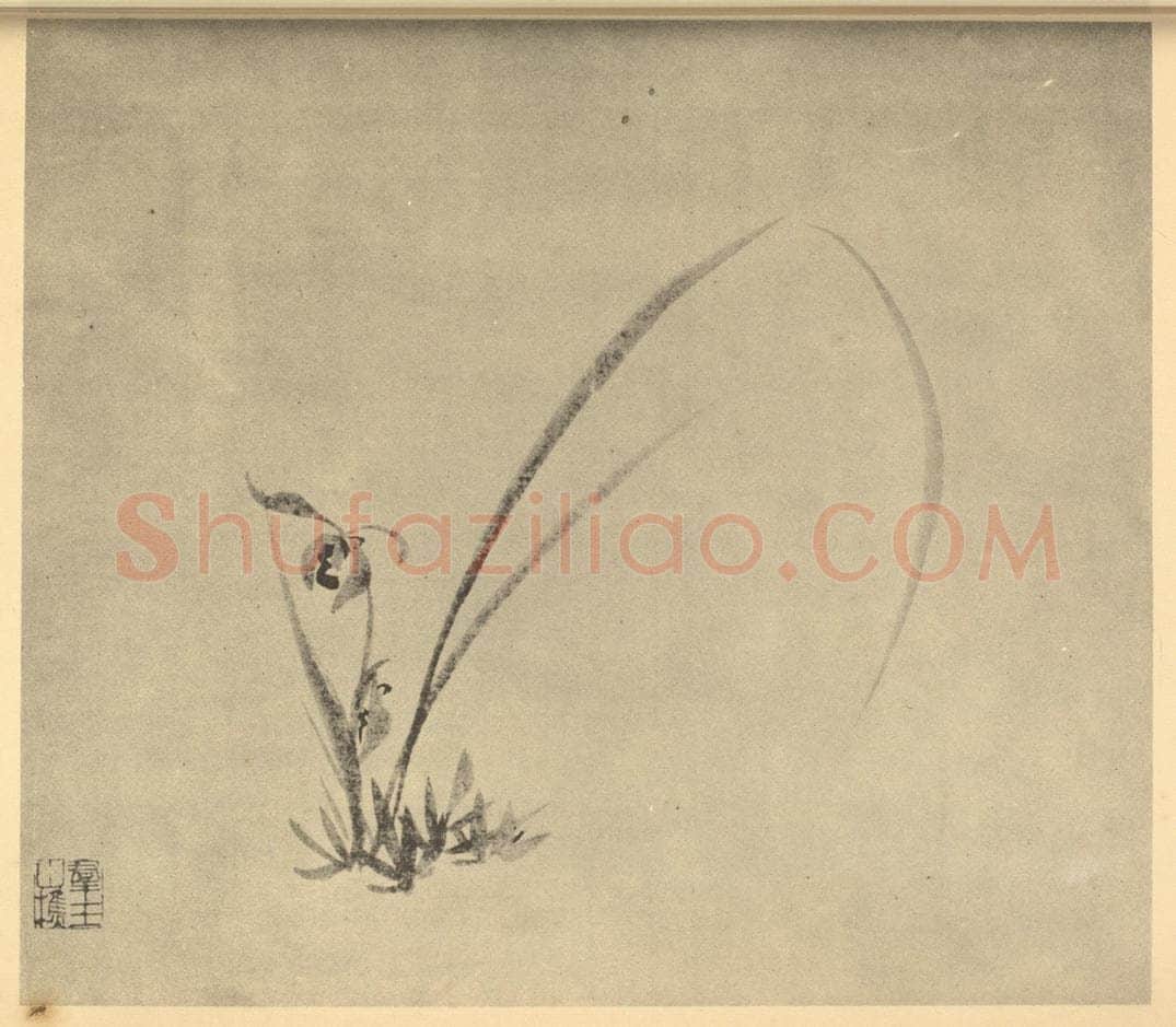明 周天球《兰》国画作品