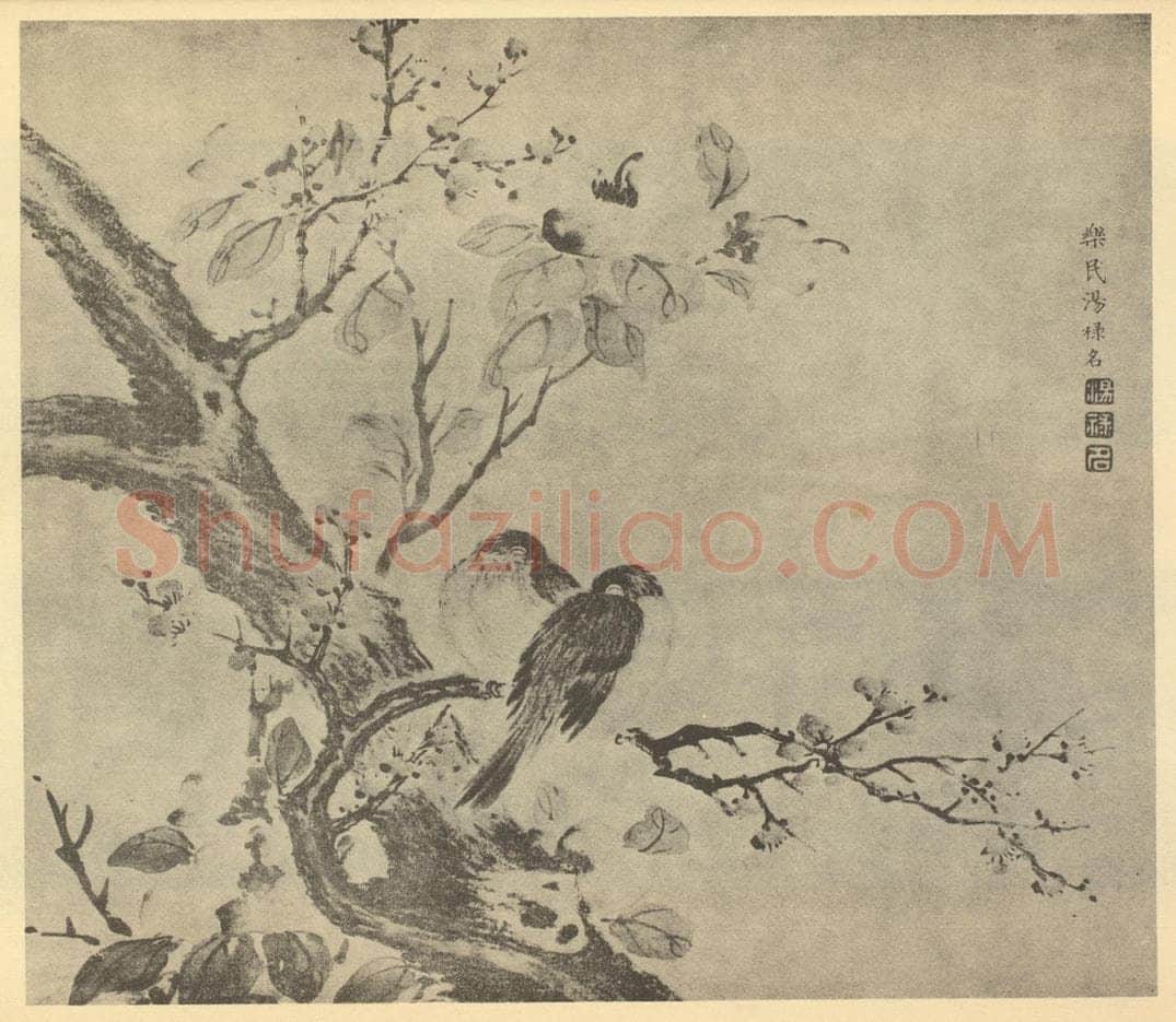 清 汤禄名《花鸟》国画作品