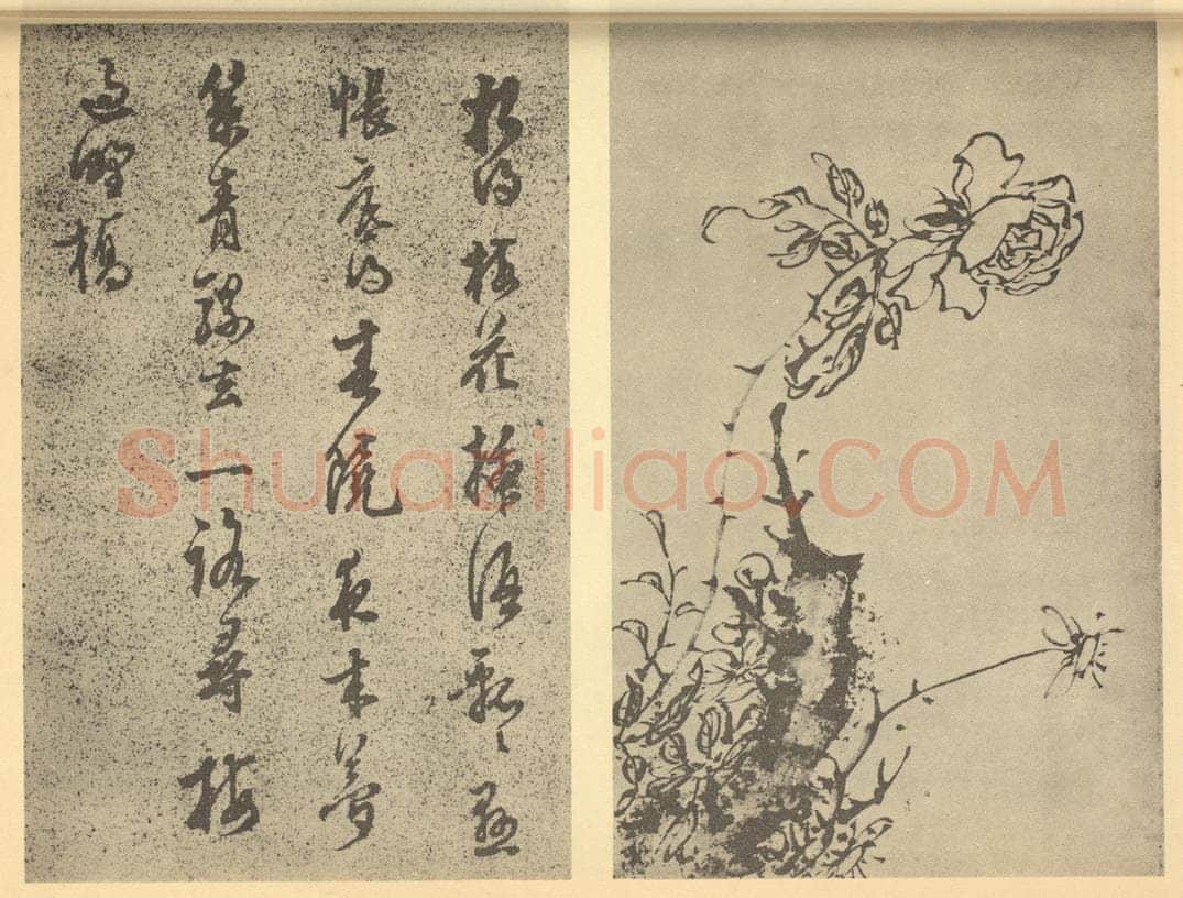 明 陈继儒《蔷薇图》国画作品