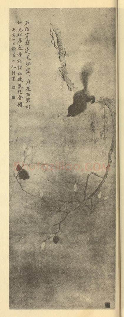 清 华岩《松鼠图》国画作品