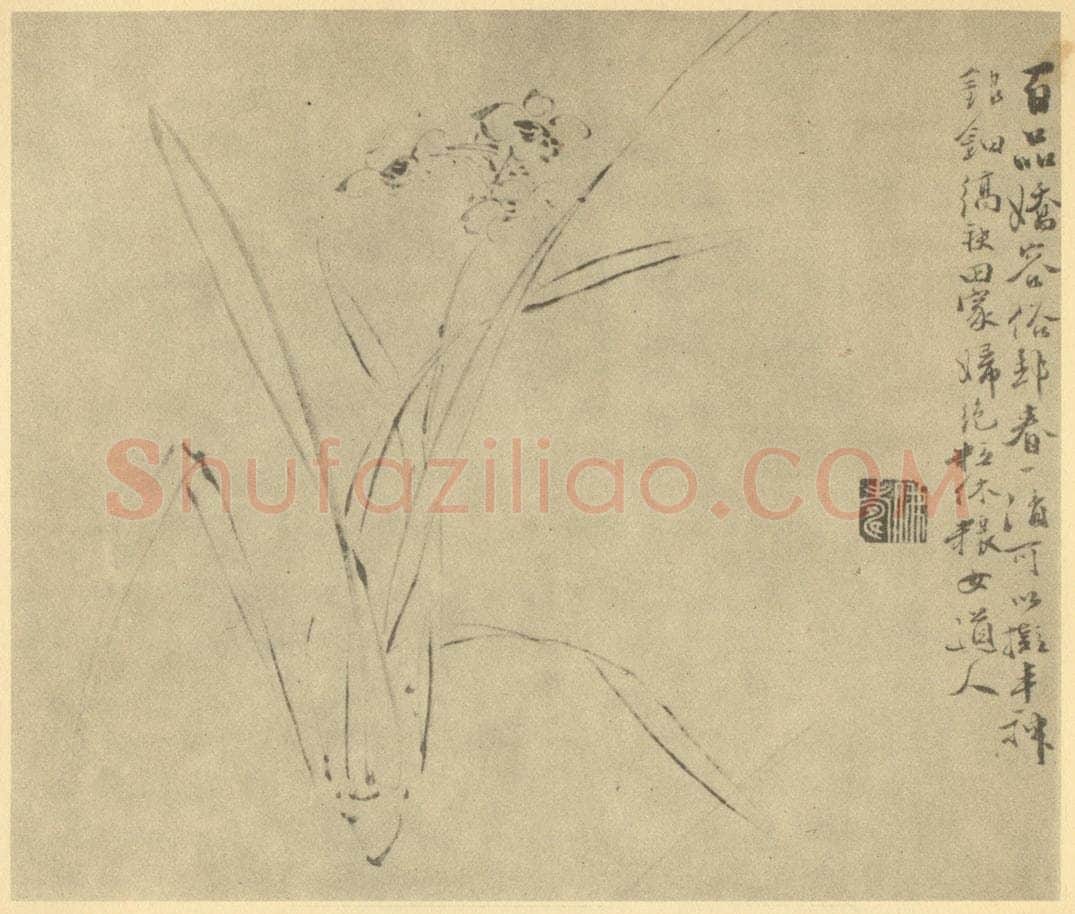 明 徐渭《水仙》国画作品