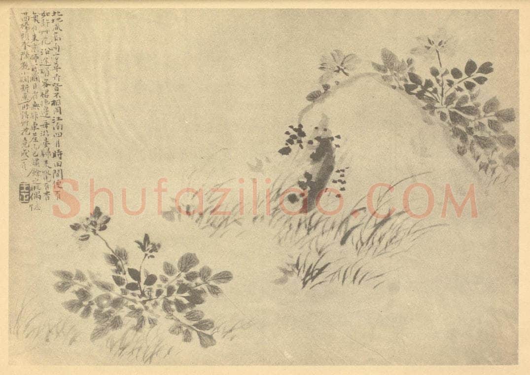 清 王正《莲华草图》国画作品
