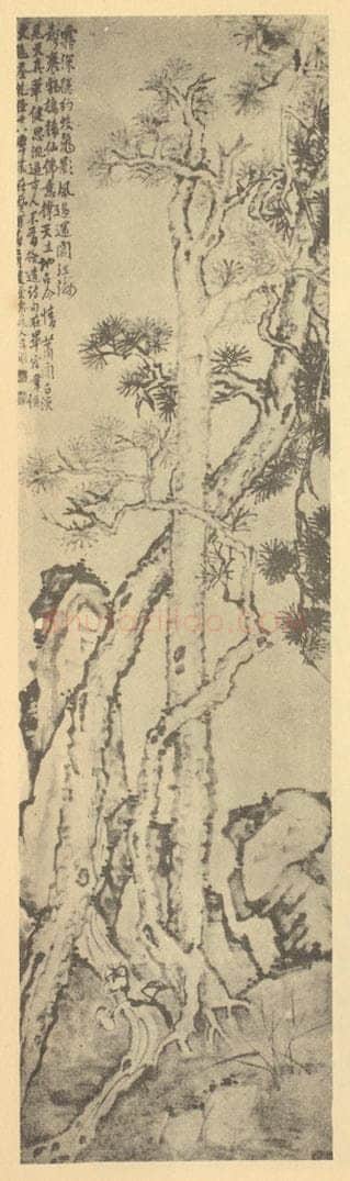 清 李鳝《松石图》国画作品
