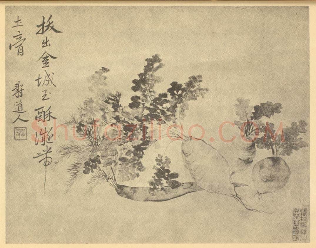 清 恽寿平《萝卜》国画作品