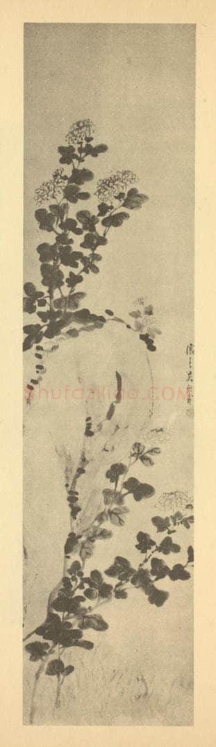 清 吴熙载《菊石》国画作品