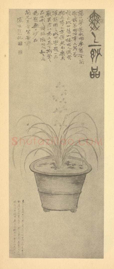 清 吴儁《兰》国画作品