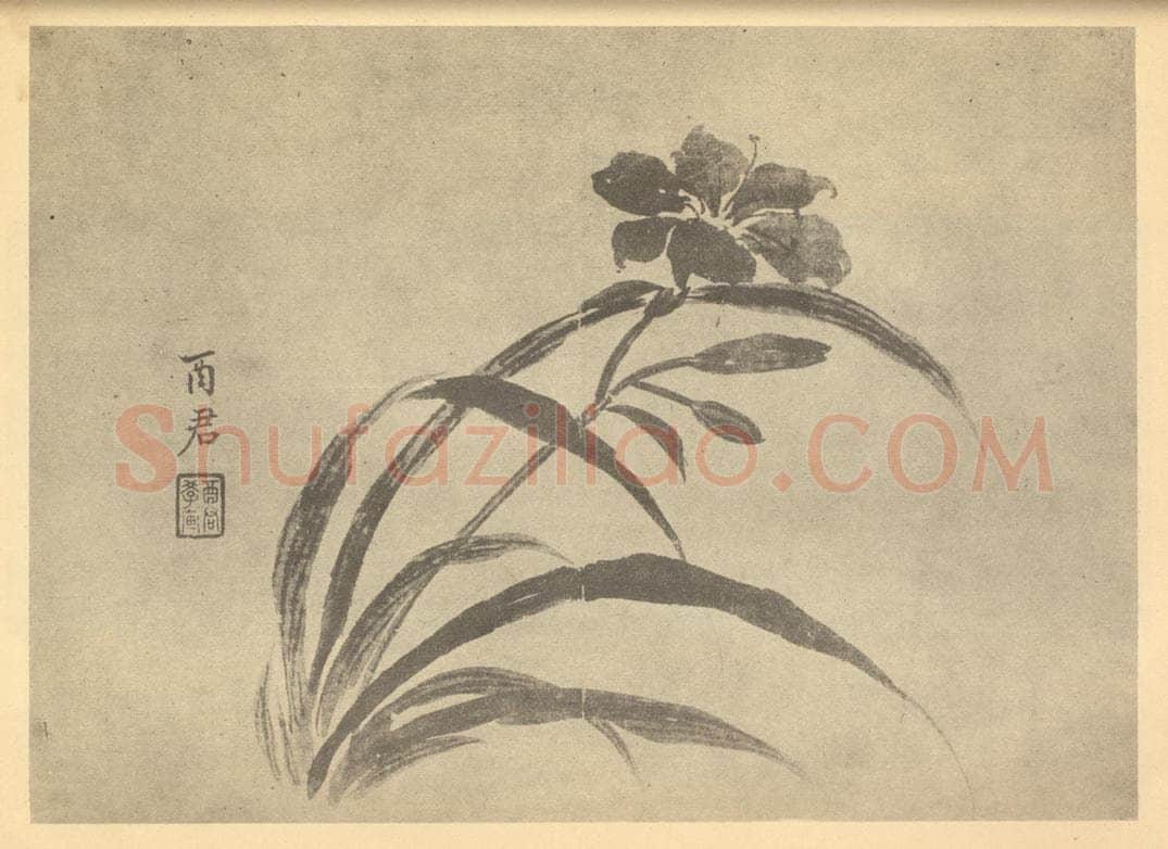 清 蒋廷锡《萱草》国画作品