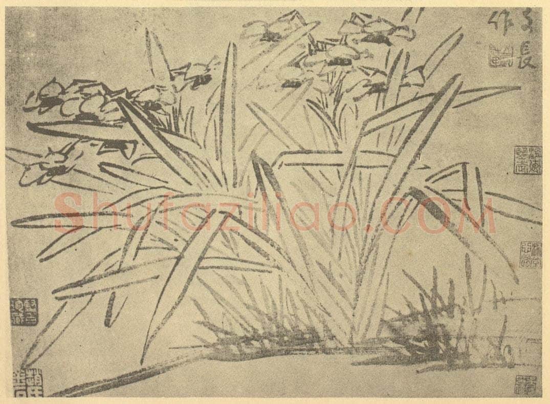 明 徐渭《水仙》国画作品