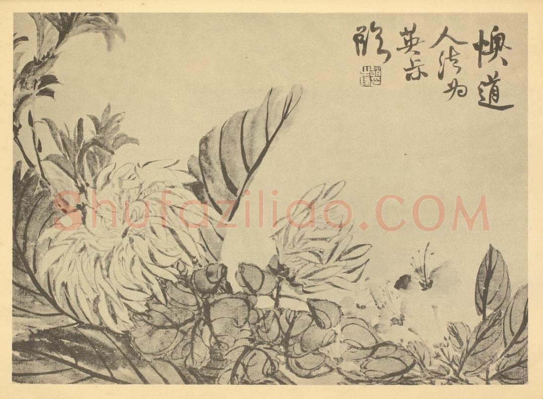 清 赵之谦《菊》国画作品
