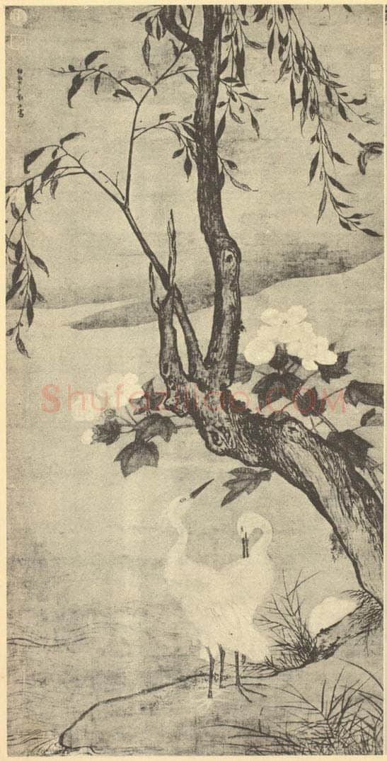 明 郑石《画芙蓉白鹭》国画作品