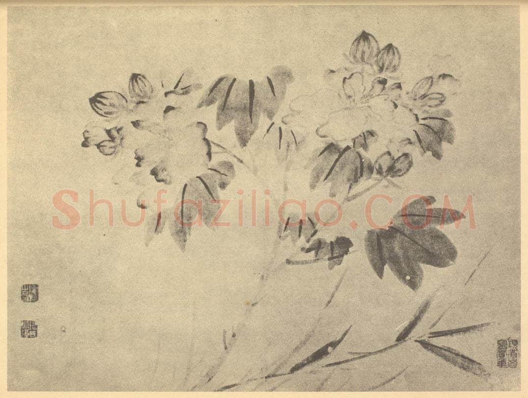明 陈淳《芙蓉图》国画作品