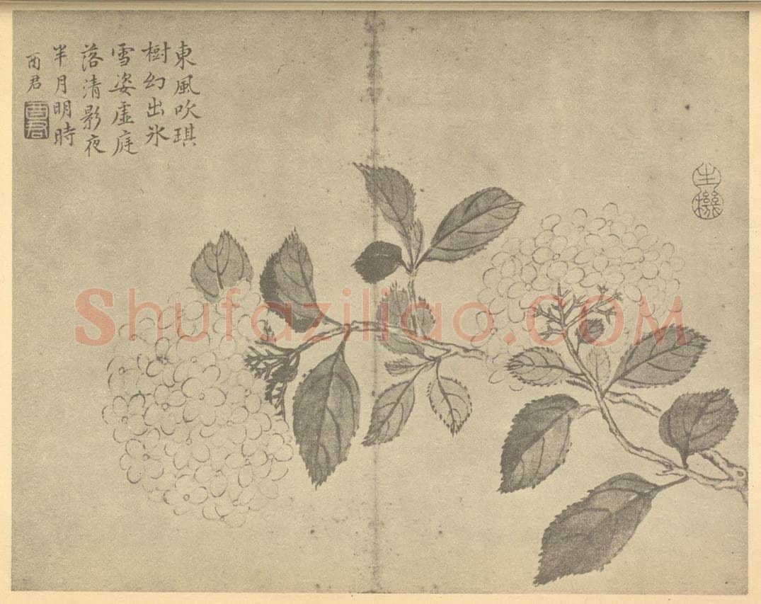 清 蒋廷锡《绣球》国画作品