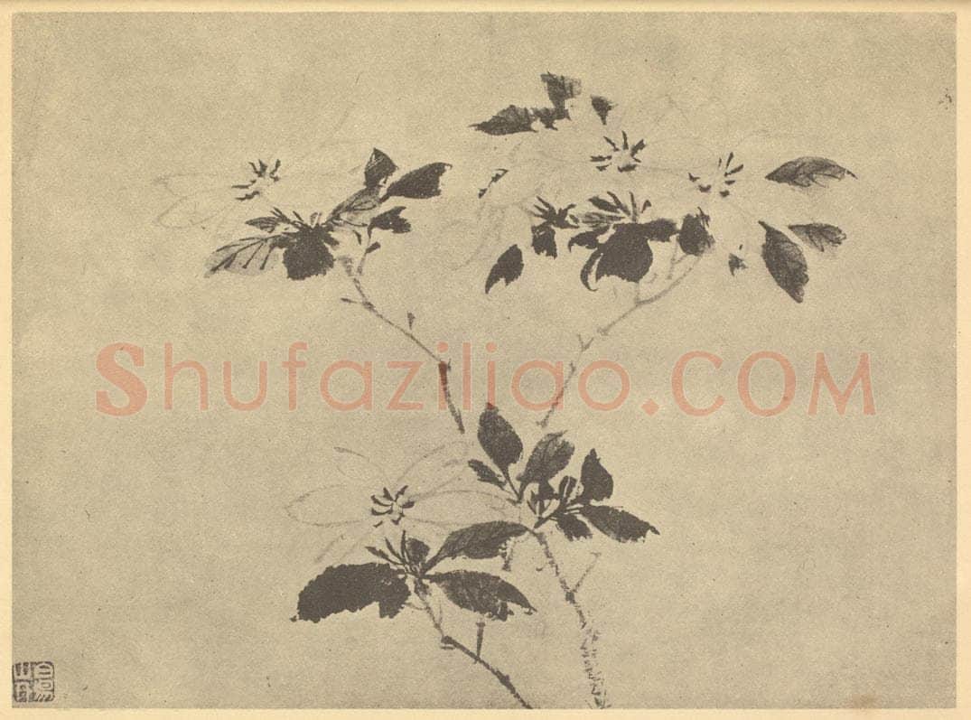 明 陈淳《栀子》国画作品