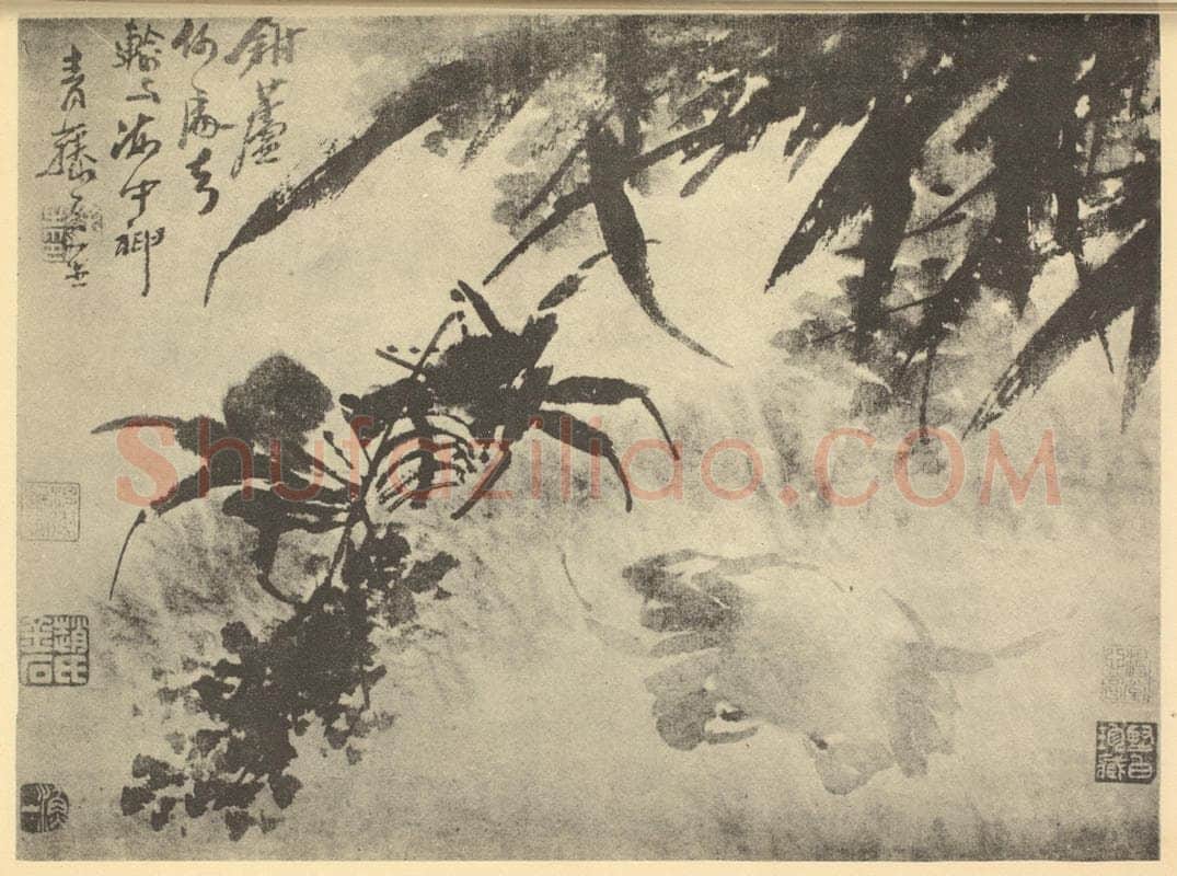 明 徐渭《芦蟹图》国画作品