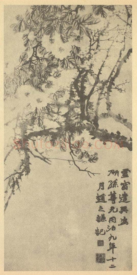 清 赵之谦《梅花·茶花》国画作品