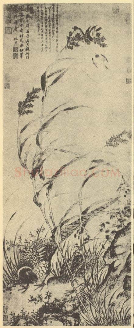 明 吕纪《草花野禽图》国画作品