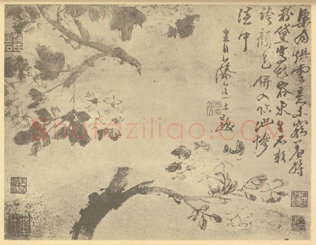 明 徐渭《海棠图》国画作品