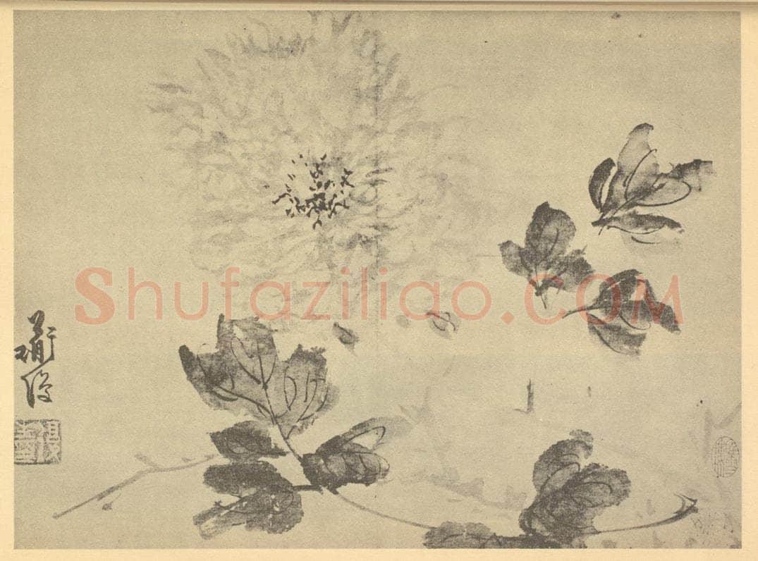 明 陈淳《牡丹》国画作品
