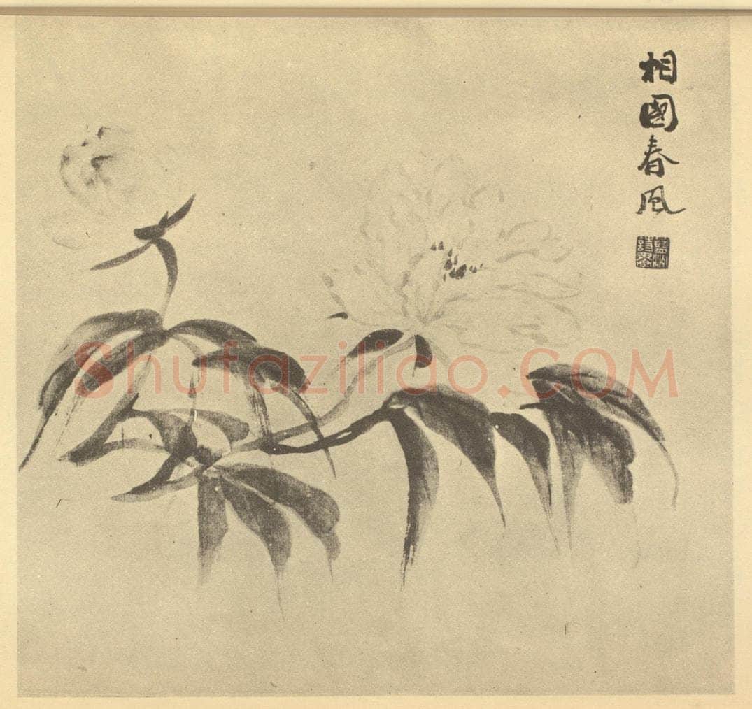 清 陈豪《芍药》国画作品