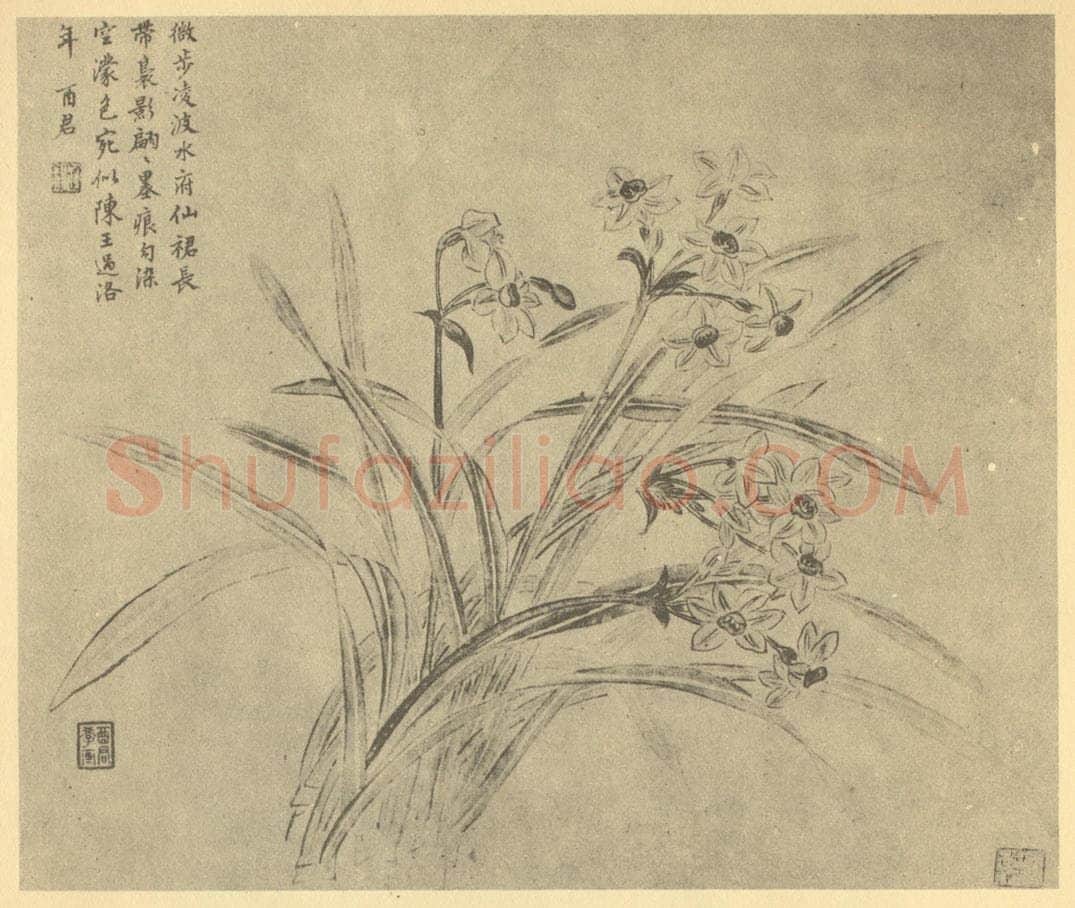 清 蒋廷锡《水仙》国画作品