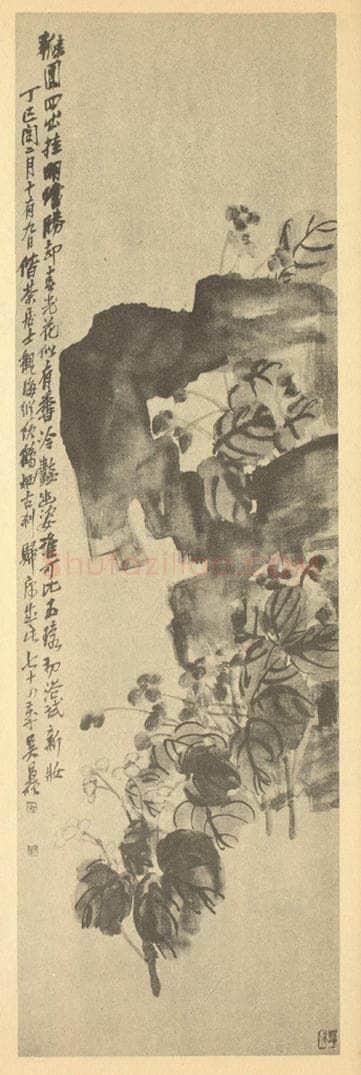 清 吴昌硕《秋海棠》国画作品