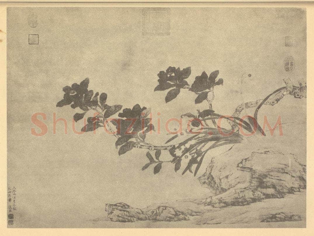 明 张宏《茶花水仙图》国画作品
