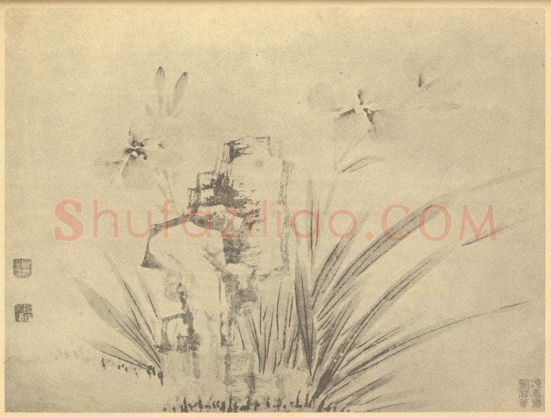 明 陈淳《萱草图》国画作品