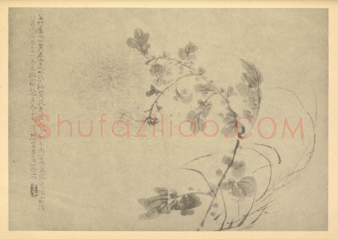 清 王正《菊》国画作品