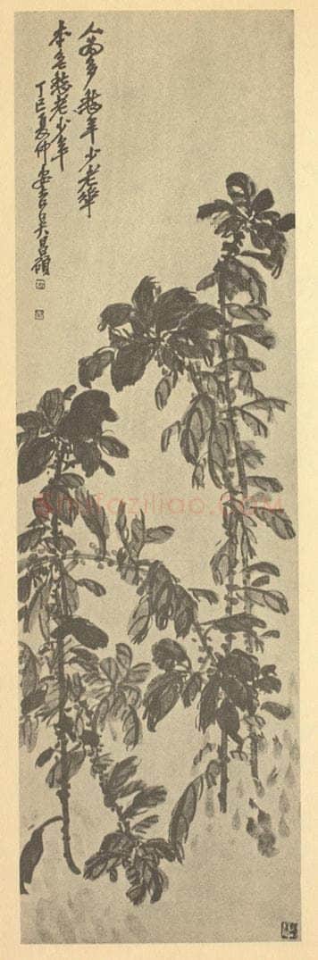 清 吴昌硕《雁来红》国画作品