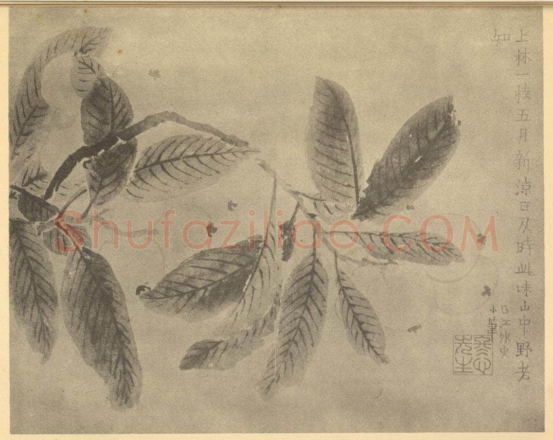 清 金农《枇杷》国画作品