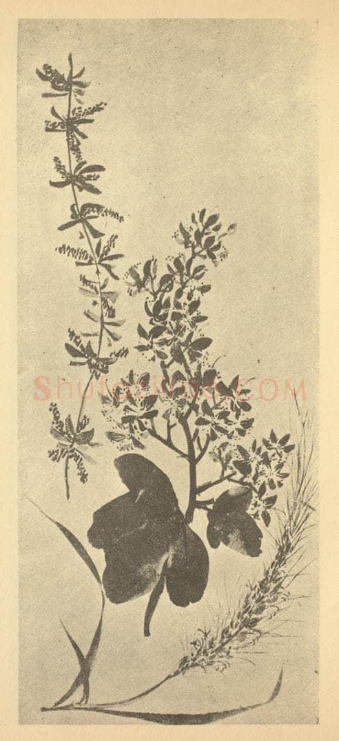 清 黄钺《二十四番华信（六）》国画作品